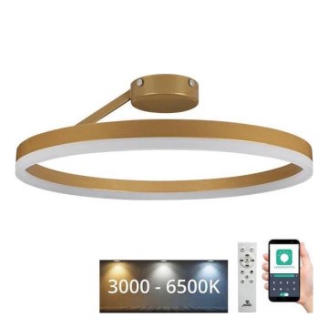 Lampadario a plafone LED dimmerabile LED/40W/230V 3000-6500K oro + telecomando