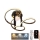 Lampadario a plafone LED dimmerabile LED/70W/230V 3000-6500K + telecomando