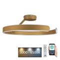 Lampadario a plafone LED dimmerabile LED/72W/230V 3000-6500K oro + telecomando