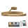 Lampadario a plafone LED dimmerabile LED/72W/230V 3000-6500K oro + telecomando