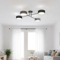 Lampadario a plafone MAGA 4xE14/10W/230V nero/marrone/grigio