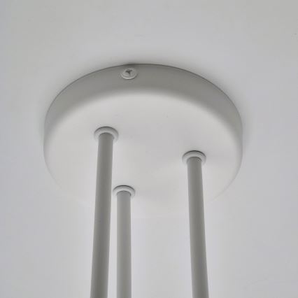 Lampadario a plafone MATYLDA 3xE27/60W/230V bianco