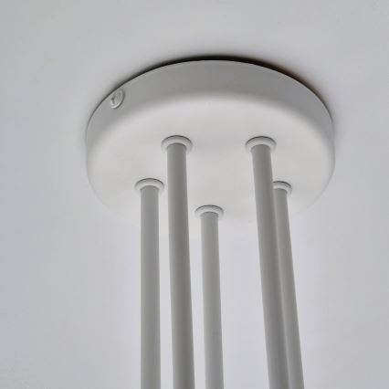 Lampadario a plafone MATYLDA 5xE27/60W/230V bianco
