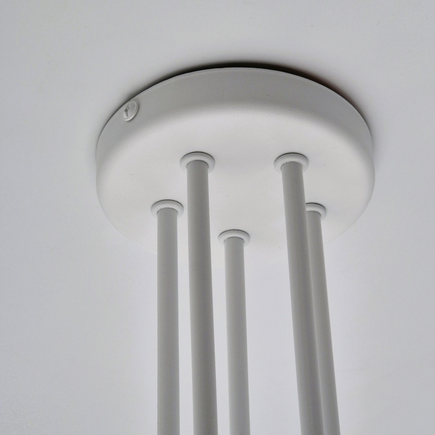 Lampadario a plafone MATYLDA 5xE27/60W/230V bianco
