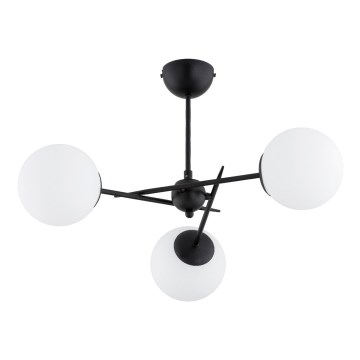 Lampadario a plafone PRIMERY 3xE14/10W/230V nero