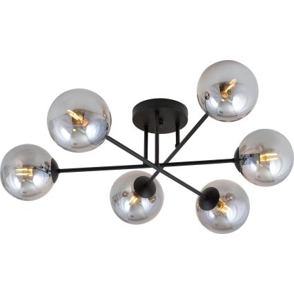 Lampadario a plafone ROMA 6xE14/10W/230V nero/fumé