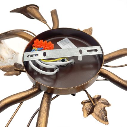 Lampadario a plafone ROZETA 3xE14/40W/230V bronzo