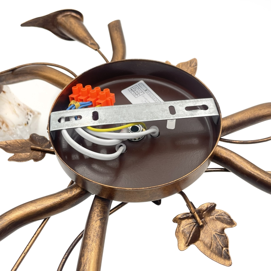 Lampadario a plafone ROZETA 3xE14/40W/230V bronzo