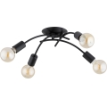 Lampadario a plafone TORIZO 4xE27/15W/230V nero
