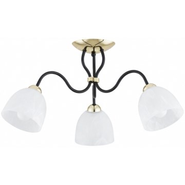 Lampadario a soffitto ARIEL 3xE27/15W/230V oro/nero