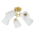 Lampadario a soffitto PAFOS 5xE27/15W/230V dorato