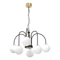 Lampadario a sospensione con catena CAMBRIDGE 6xE14/60W/230V nero/ottone