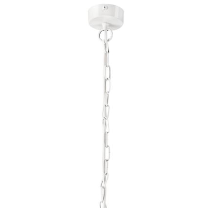 Lampadario a sospensione con catena CEDRIC II 4xE27/60W/230V bianco