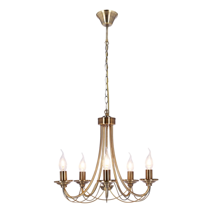 Lampadario a sospensione con catena MUZA 5xE14/40W/230V