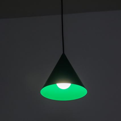 Lampadario a sospensione con cavo ETNA 1xE27/15W/230V, Ø 18,5 cm, verde