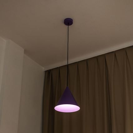 Lampadario a sospensione con cavo ETNA 1xE27/15W/230V Ø 25 cm, viola