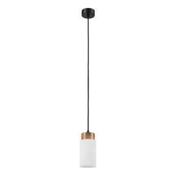 Lampadario a sospensione con cavo MARKUS 1xE27/15W/230V nero
