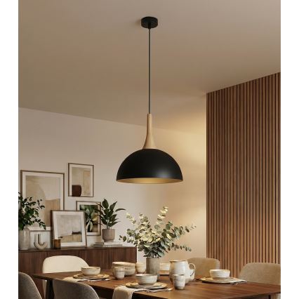 Lampadario a sospensione con cavo NAUTICA 1xGX53/12W/230V nero