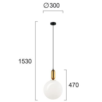 Lampadario a sospensione con cavo NEPTUNE 1xE27/40W/230V dorato