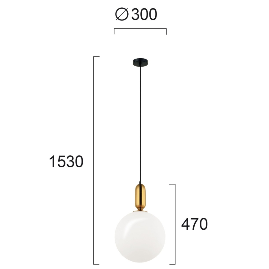 Lampadario a sospensione con cavo NEPTUNE 1xE27/40W/230V dorato