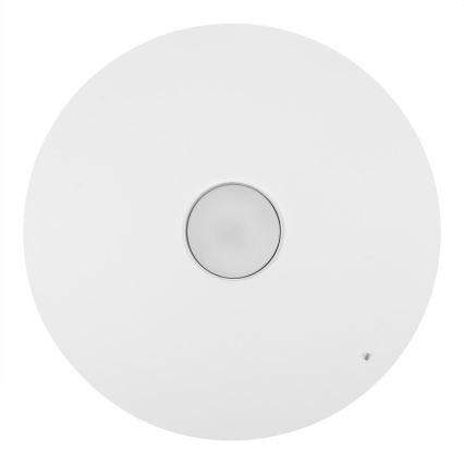 Lampadario a sospensione con cavo PIATTO 1xGX53/15W/230V Ø 35 cm, bianco