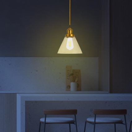 Lampadario a sospensione con filo 1xE27/60W/230V diametro 18,5 cm