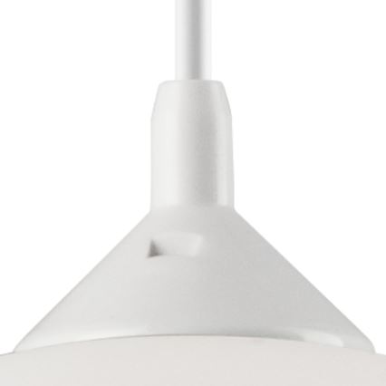 Lampadario a sospensione con filo 1xE27/60W/230V farfalle