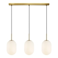 Lampadario a sospensione con filo ALIAS 3xE14/40W/230V oro