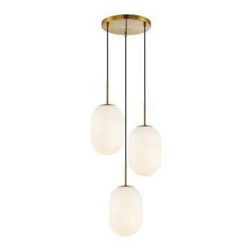 Lampadario a sospensione con filo ALIAS 3xE14/40W/230V oro