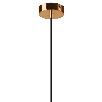 Lampadario a sospensione con filo AMBER 1xG9/5W/230V 130 cm