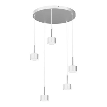 Lampadario a sospensione con filo ARENA 5xGX53/11W/230V bianco/cromo lucido