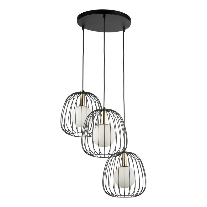 Lampadario a sospensione con filo BELL 3xG9/12W/230V nero/oro