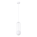 Lampadario a sospensione con filo BRINA 1xG9/8W/230V bianco