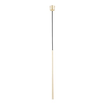 Lampadario a sospensione con filo CARMEN 1xG9/40W/230V oro