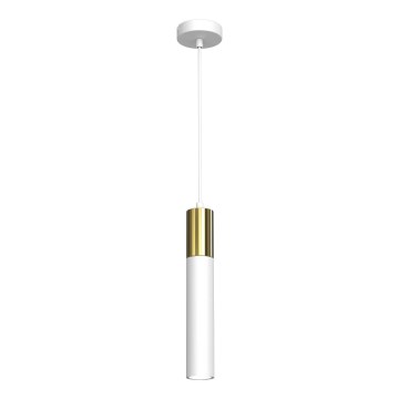 Lampadario a sospensione con filo CASSA 1xGU10/8W/230V bianco/oro