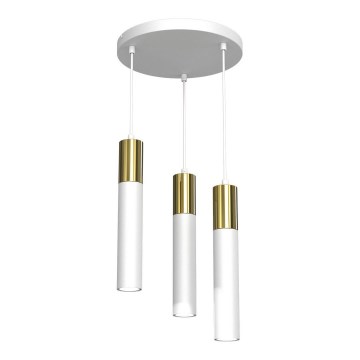 Lampadario a sospensione con filo CASSA 3xGU10/8W/230V bianco/oro