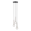 Lampadario a sospensione con filo DAISY 3xG9/12W/230V diametro 27 cm cromo lucido/nero/limpido