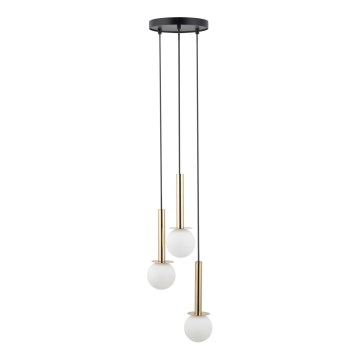 Lampadario a sospensione con filo DAISY 3xG9/12W/230V diametro 27 cm oro/nero/bianco