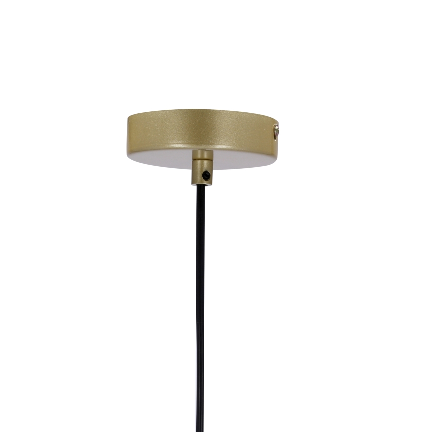 Lampadario a sospensione con filo DUO 2xE14/40W/230V oro/nero