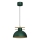 Lampadario a sospensione con filo ESTATE 1xE27/15W/230V verde