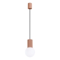 Lampadario a sospensione con filo HALO 1xG9/8W/230V diametro 12 cm marrone