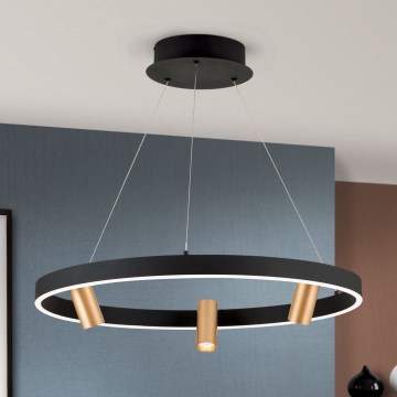 Lampadario a sospensione con filo LED dimmerabile BERLIN LED/50W/230V nero/oro