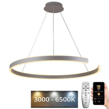 Lampadario a sospensione con filo LED dimmerabile LED/100W/230V 3000-6500K diametro 80 cm + telecomando