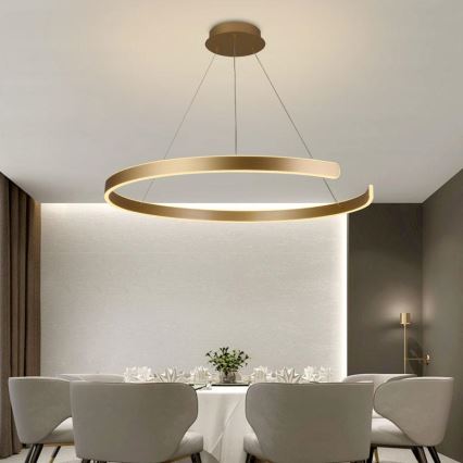 Lampadario a sospensione con filo LED dimmerabile LED/100W/230V 3000-6500K diametro 80 cm + telecomando