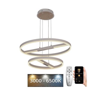Lampadario a sospensione con filo LED dimmerabile LED/100W/230V 3000-6500K + telecomando