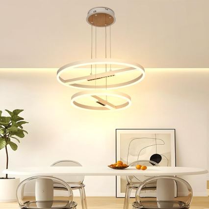 Lampadario a sospensione con filo LED dimmerabile LED/100W/230V 3000-6500K + telecomando