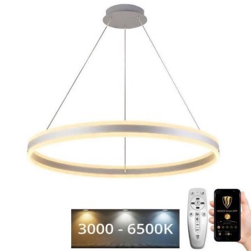Lampadario a sospensione con filo LED dimmerabile LED/110W/230V 3000-6500K diametro 80 cm + telecomando