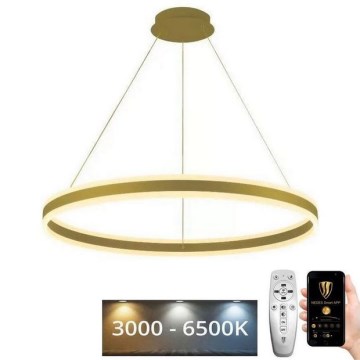 Lampadario a sospensione con filo LED dimmerabile LED/110W/230V 3000-6500K diametro 80 cm + telecomando