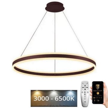 Lampadario a sospensione con filo LED dimmerabile LED/110W/230V 3000-6500K + telecomando