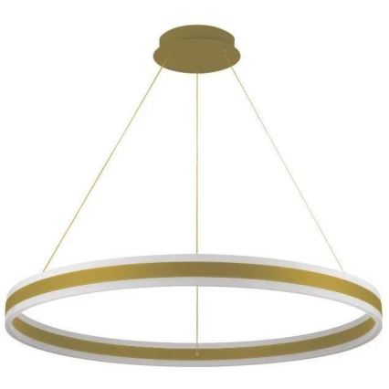 Lampadario a sospensione con filo LED dimmerabile LED/110W/230V 3000-6500K diametro 80 cm + telecomando